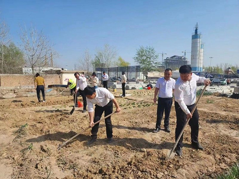 “春播添新綠，不負(fù)好春光”-城建新型材料公司黨支部開展主體黨日活動