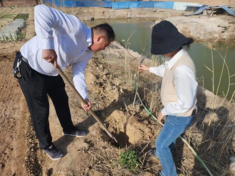 “春播添新綠，不負(fù)好春光”-城建新型材料公司黨支部開展主體黨日活動